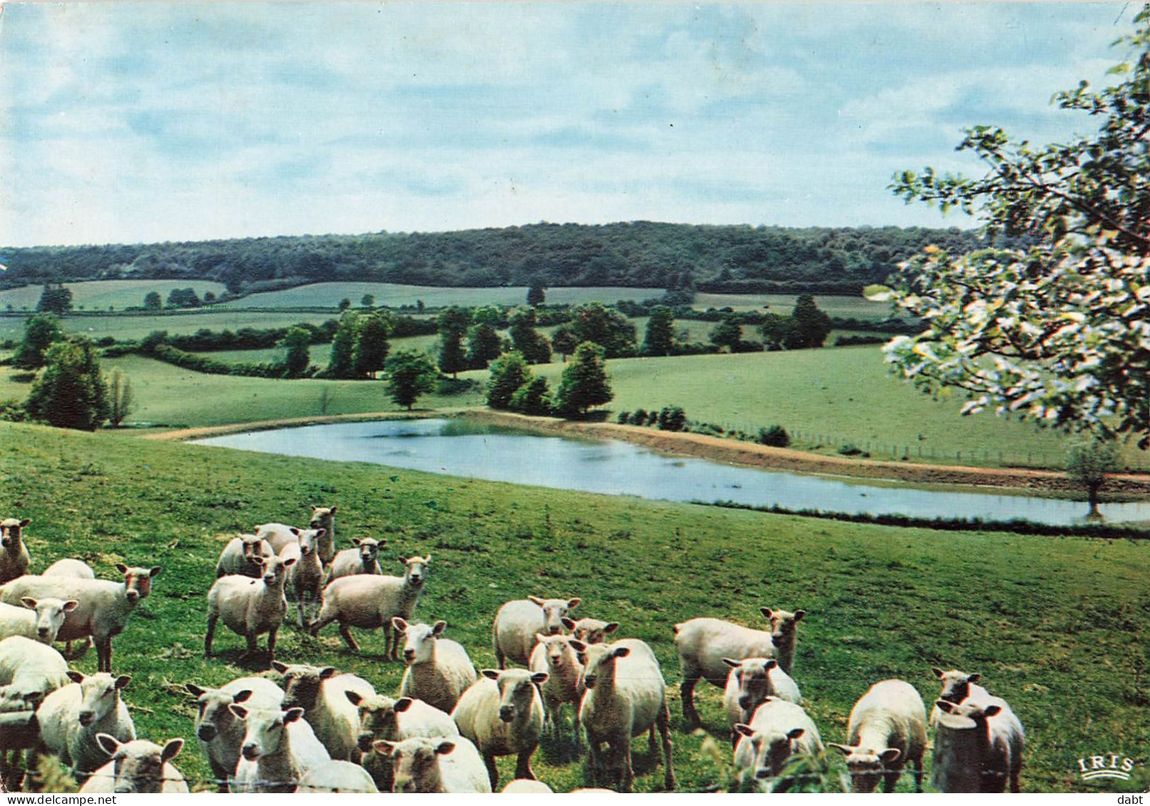 carton de 7,620 kilos de cartes postales principalement France , modernes et semi modernes.