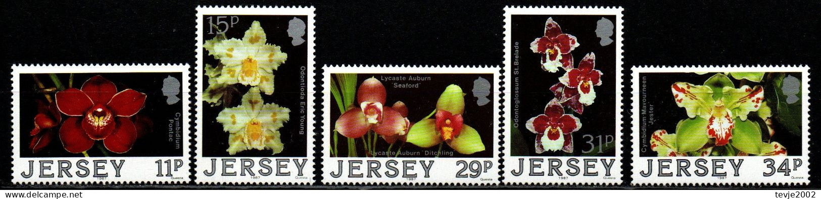 Jersey 1988 - Mi.Nr. 425 - 429 - Postfrisch MNH - Blumen Flowers Orchideen Orchids - Orchidee
