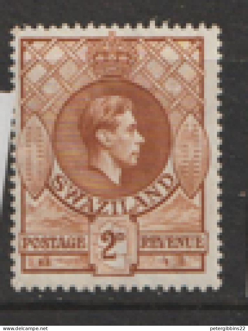 Swaziland  1938 SG  31   2d   Mounted Mint - Swasiland (...-1967)