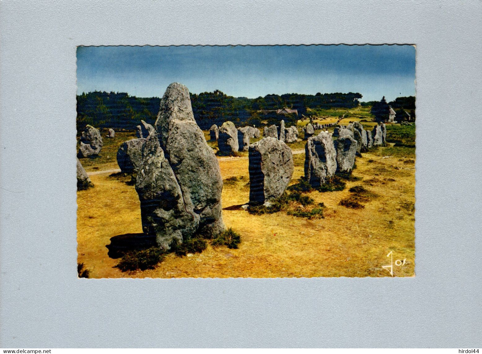 Carnac (56) : Les Alignements Du Ménec - Dolmen & Menhirs