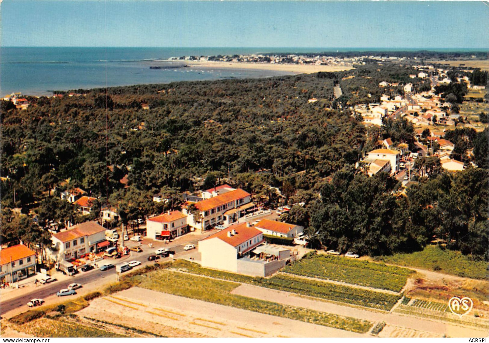 LA TRANCHE SUR MER  LA GRIERE Vue Sur Le Parc Clemenceau  13   (scan Recto-verso) OO 0914 - La Tranche Sur Mer