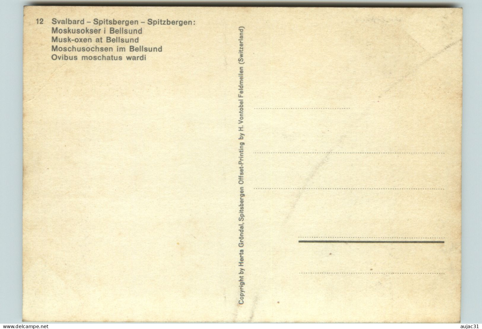 Norvège - Norway - Norge - Svalbard - Spitsbergen - Spitzbergen - état - Norvège