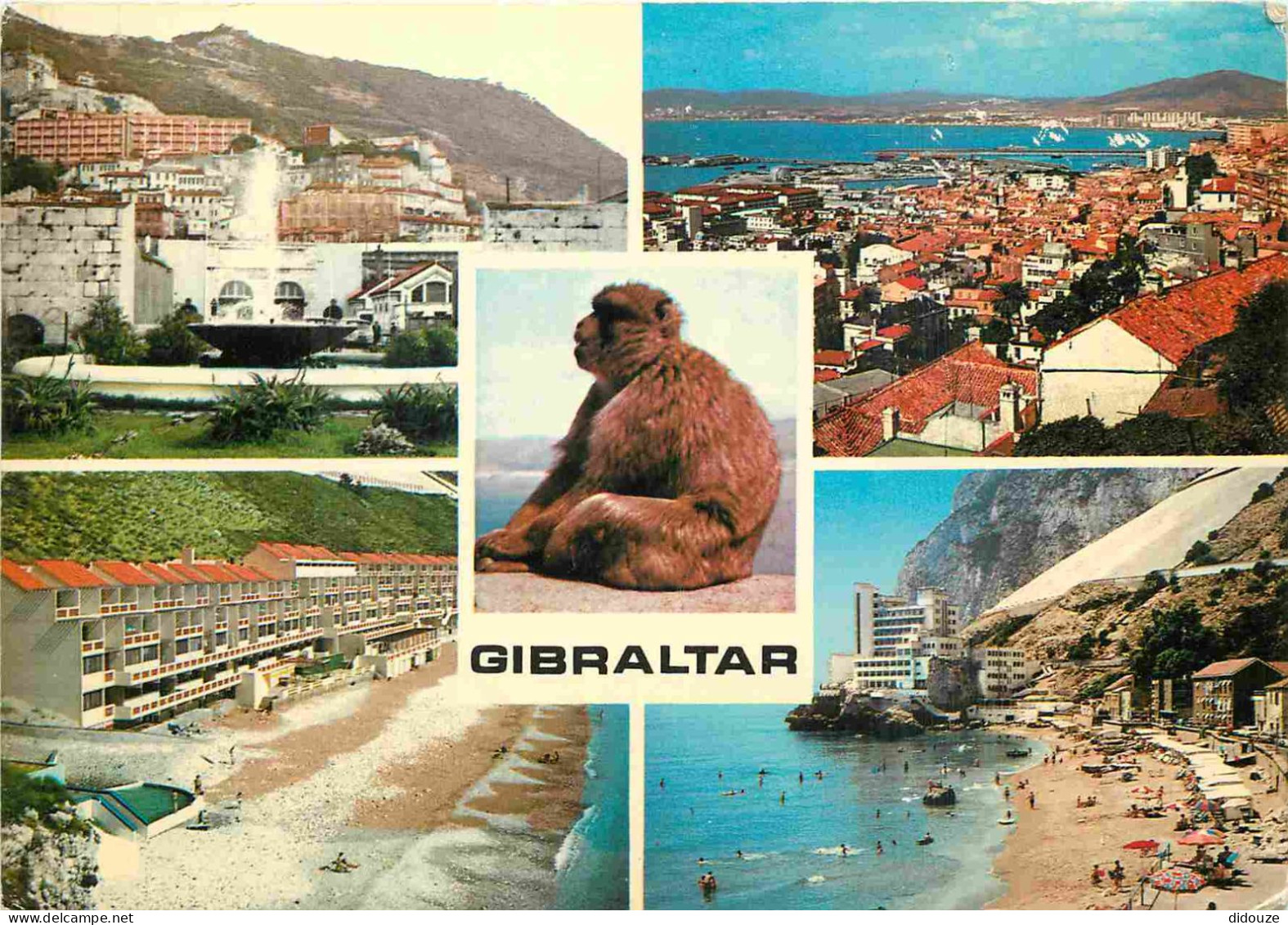 Gibraltar - Multivues - Singes - CPM - Voir Scans Recto-Verso - Gibraltar