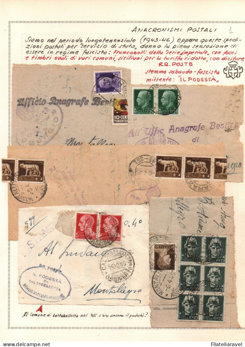 LUOGOTENENZA - 1943-46 Lotticino Di N. 14  Frammenti Di Ricevuta " Servizio Anagrafica Bestiame" Annulli Particolari. - Poststempel