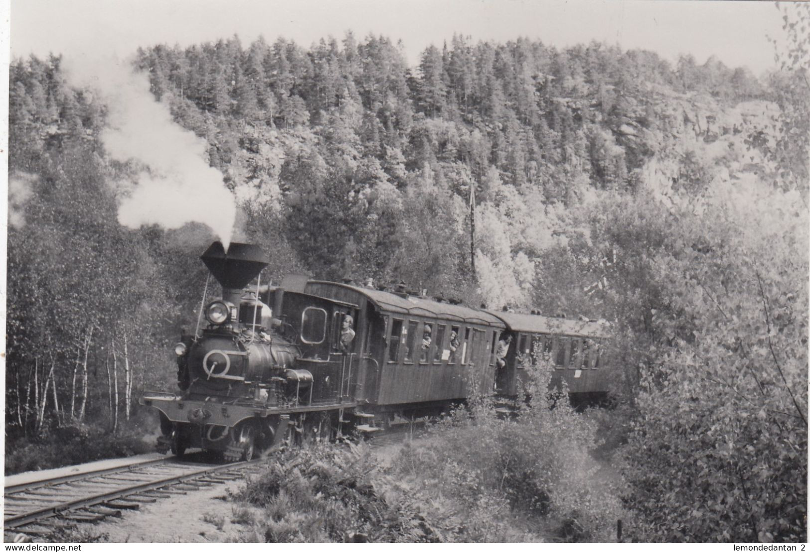 Setesdalsbanen. Tr. Near Grovane. Photo, No Postcard 14 X 9,5 Cm. * - Norvège