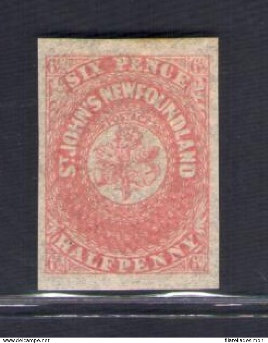 1862-64 TERRANOVA - NEWFOUNDLAND - SG 21 - 6 1/2 D. Rose Lake - MH* - Other & Unclassified