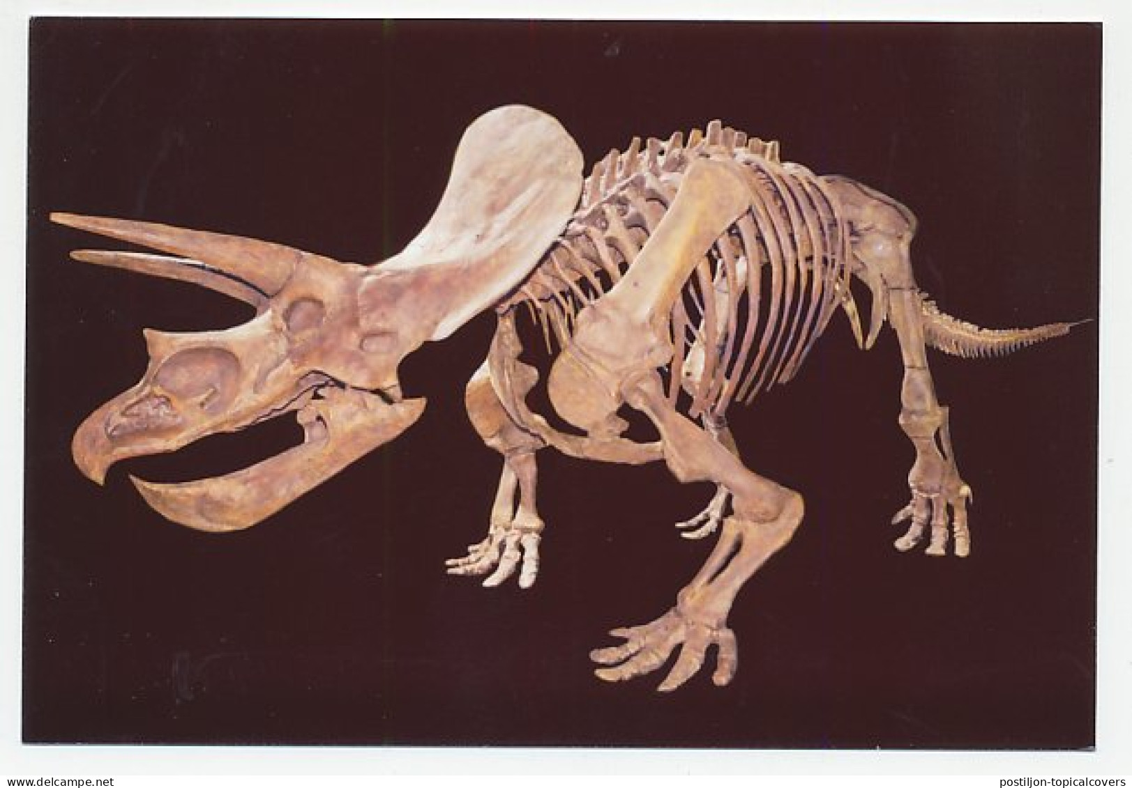 Postal Stationery China 2006 Fossil - Triceratops - Prehistorie