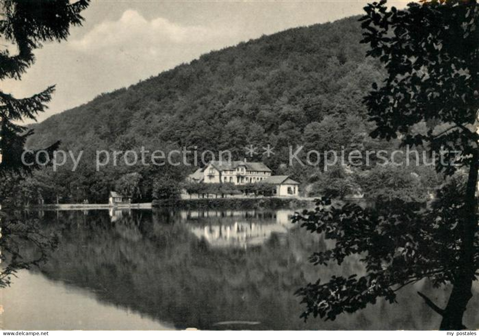 73099282 Bad Lauterberg Wiesenbekerteich Bad Lauterberg - Bad Lauterberg