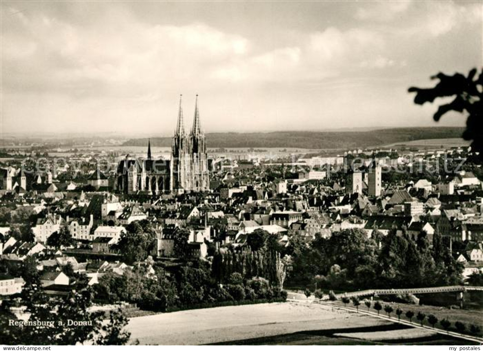 73099273 Regensburg Dom Panorama Regensburg - Regensburg