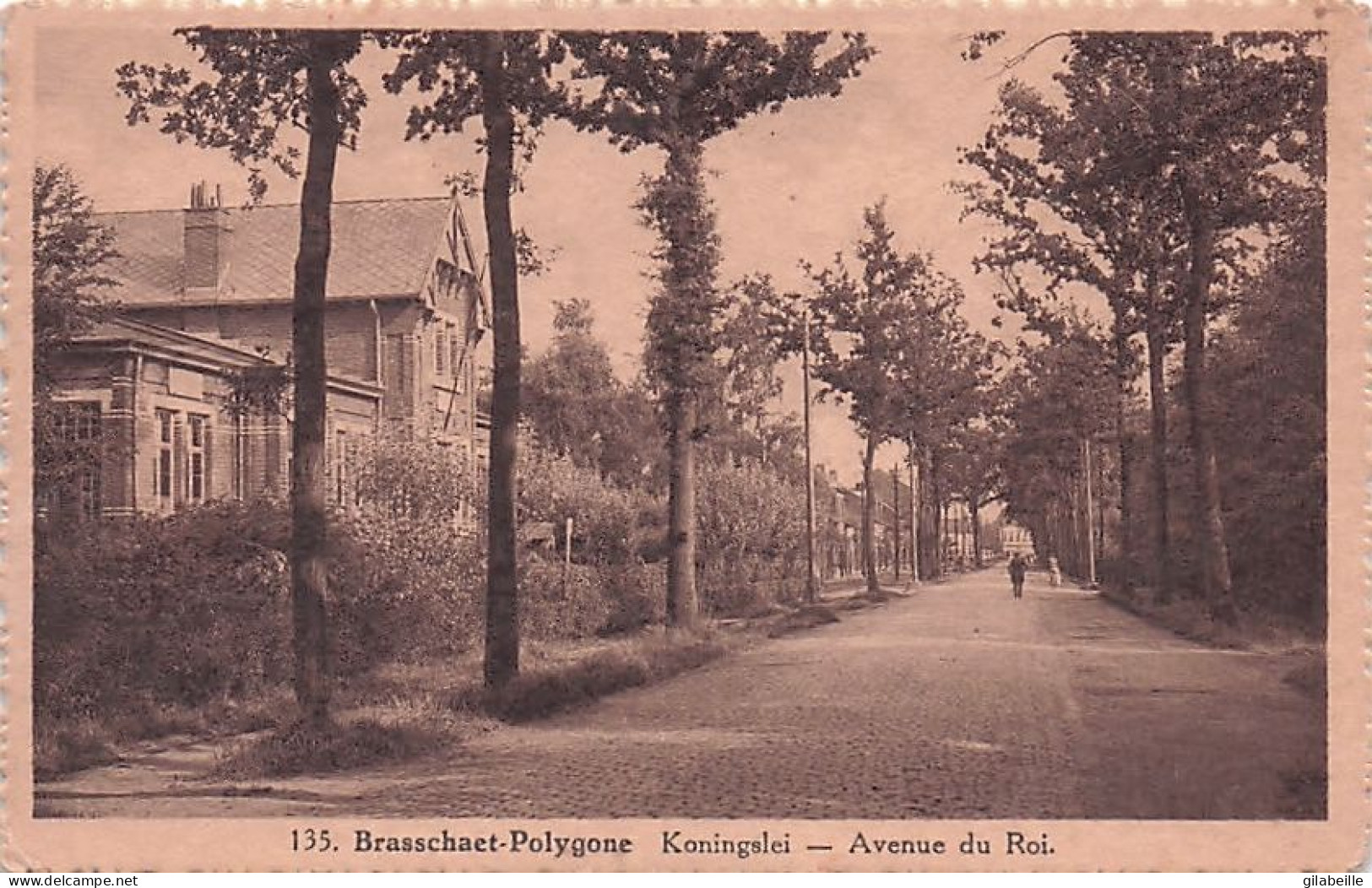 Anvers - BRASSCHAET -  BRASSCHAAT - Koningslei - Avenue Du Roi - Brasschaat