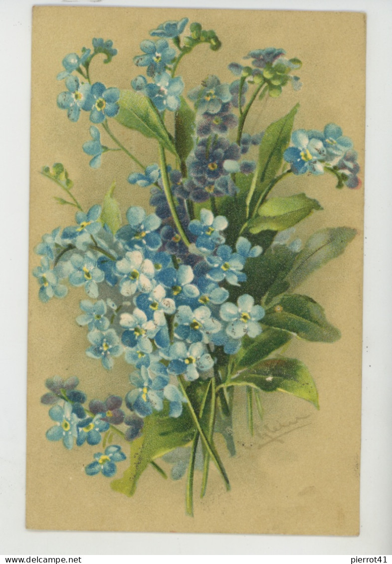 Illustrateur CATHARINA KLEiN - Jolie Carte Fantaisie Bouquet De Fleurs  Myosotis - Klein, Catharina