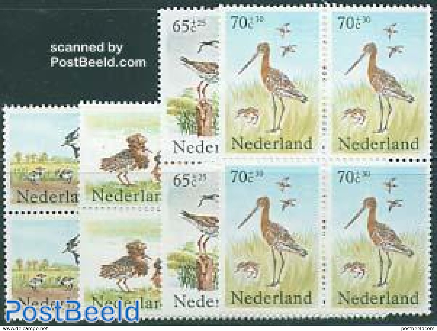 Netherlands 1984 Birds 4v Blocks Of 4 [+], Mint NH, Nature - Birds - Nuevos