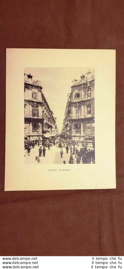 Palermo Nel 1900 Via Macqueda E Chiesa Di San Giovanni Degli Eremiti Sicilia - Otros & Sin Clasificación