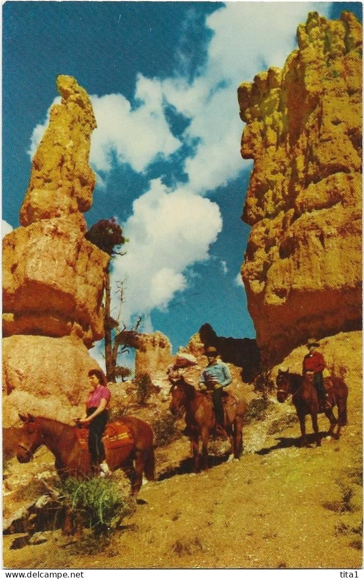 90 - Bryce Canyon National Park (9 cartes)