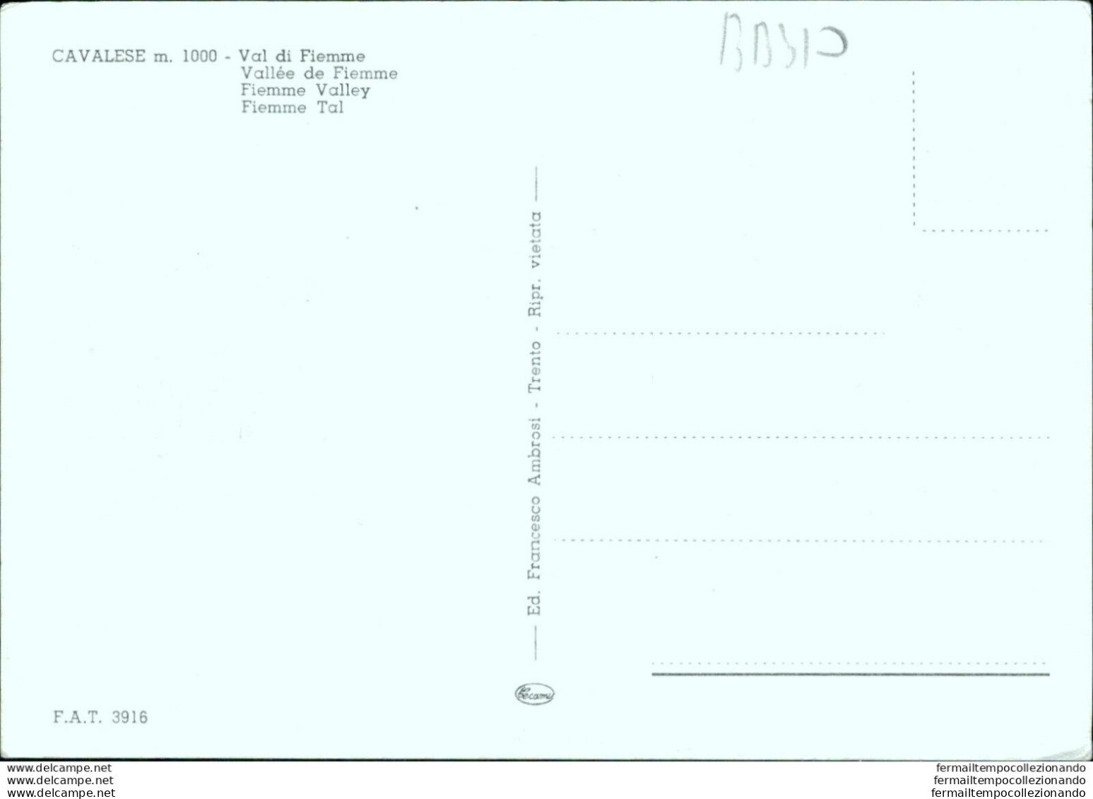 Bb310 Cartolina Cavalese Val Di Fiemme Trento - Trento