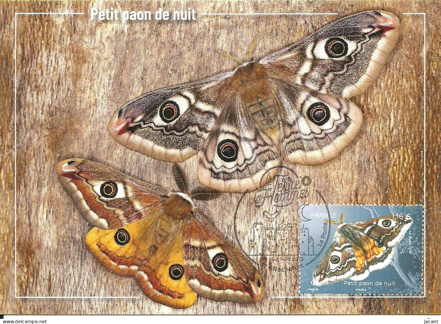30847 - Carte Maximum - France - Petit Paon De Nuit - Saturnia Pavonia - Traça - Small Emperor Moth - 2020-…