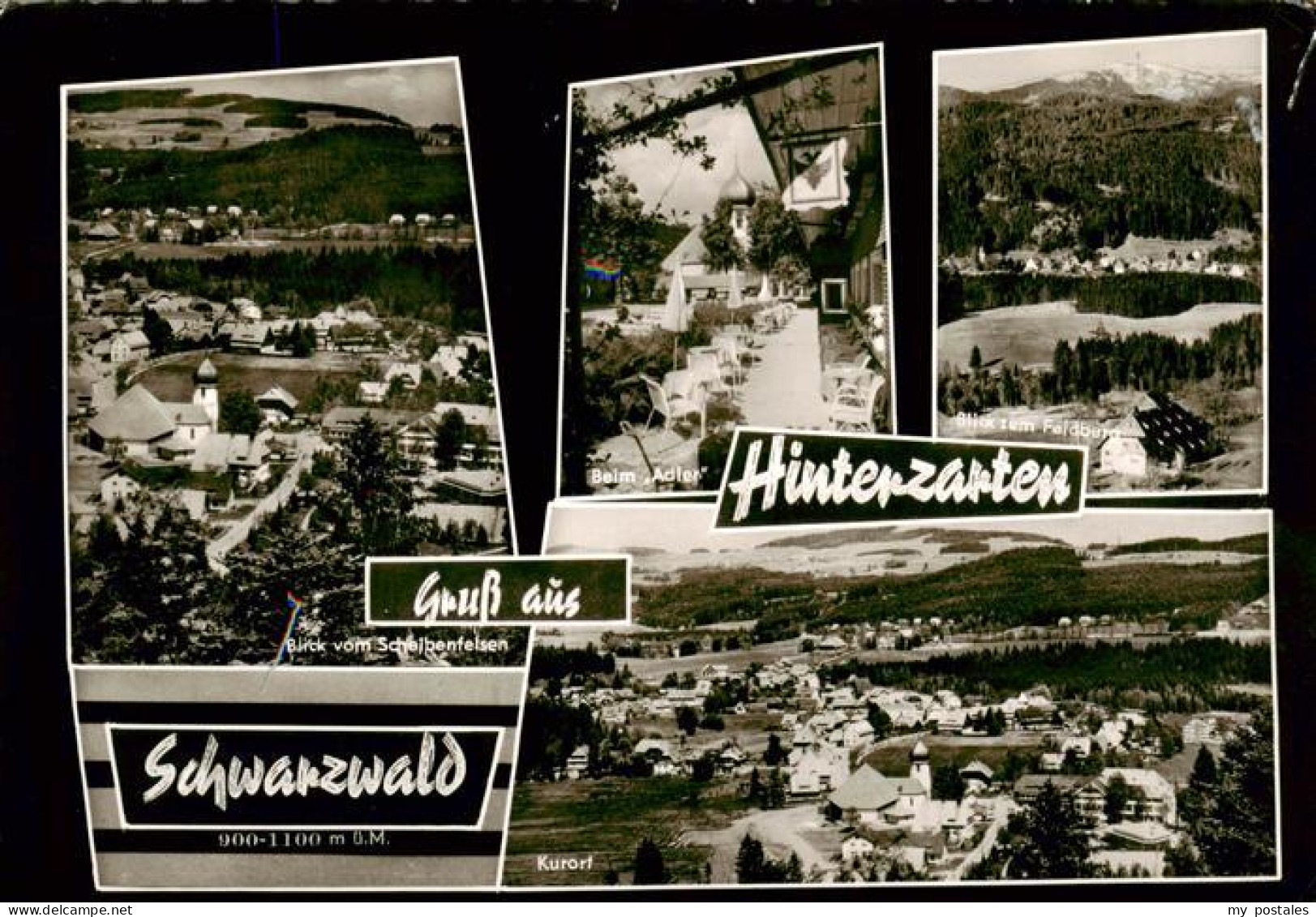 73903032 Hinterzarten Blick Vom Scheibenfelsen Beim Adler Blick Zum Feldberg Pan - Hinterzarten