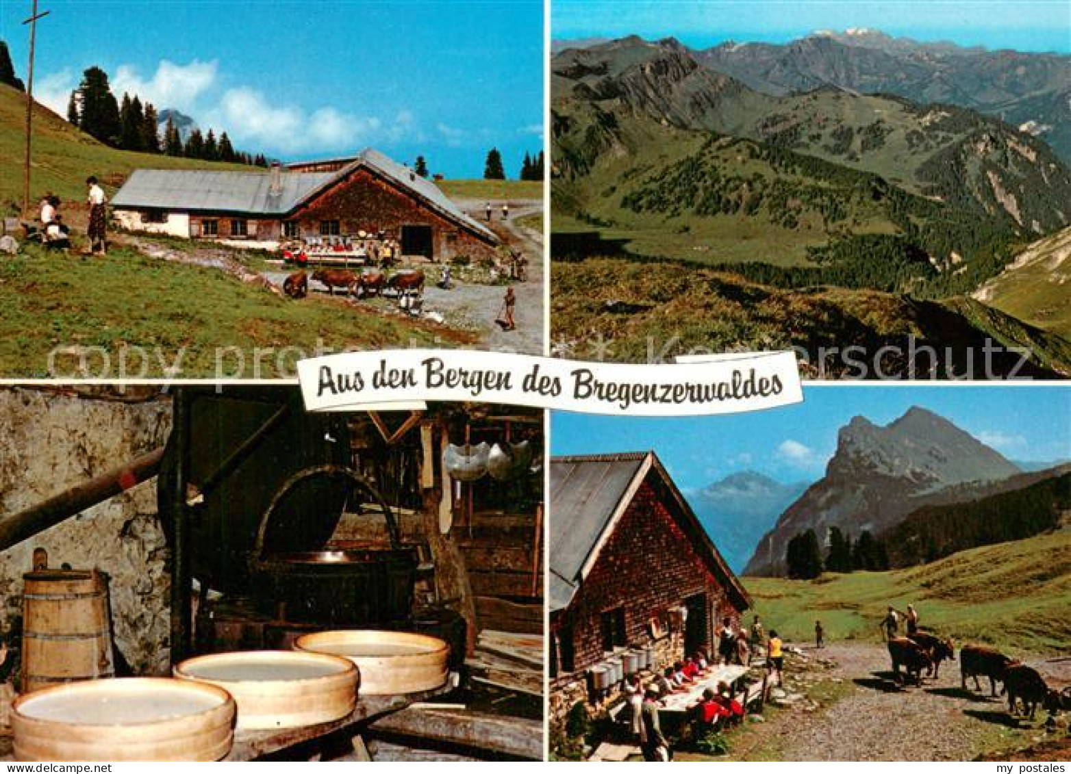 73756389 Vorarlberg Alpsennerei Im Bregenzerwald Alpenpanorama Vorarlberg - Sonstige & Ohne Zuordnung