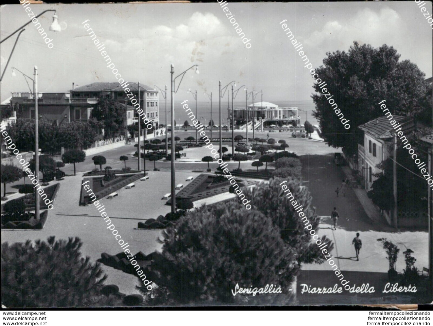 At432 Cartolina Senigallia Piazzale Della Liberta' Provincia Di Ancona - Ancona