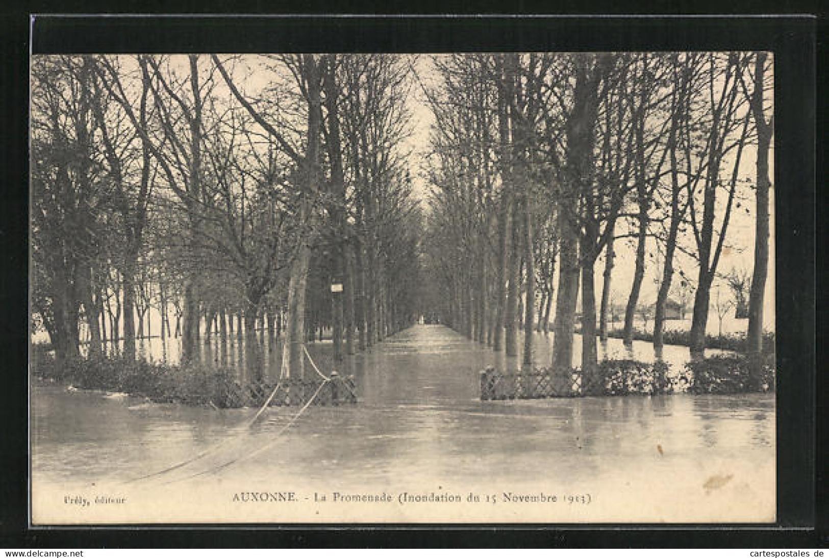 CPA Auxonne, La Promenade (Inondation Du 15 Novembre 1913)  - Auxonne
