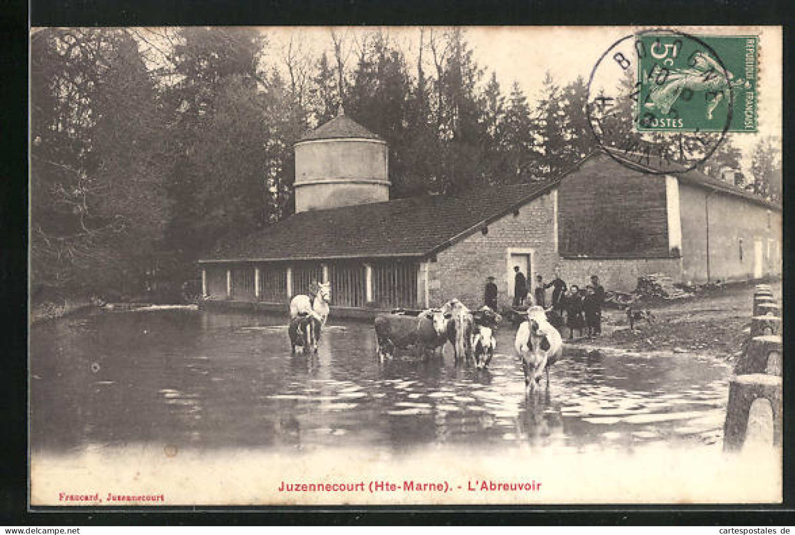 CPA Juzennecourt, L`Abreuvoir, Vaches Im Wasser  - Juzennecourt