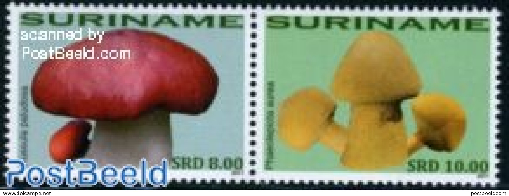 Suriname, Republic 2011 Mushrooms 2v [:], Mint NH, Nature - Mushrooms - Pilze