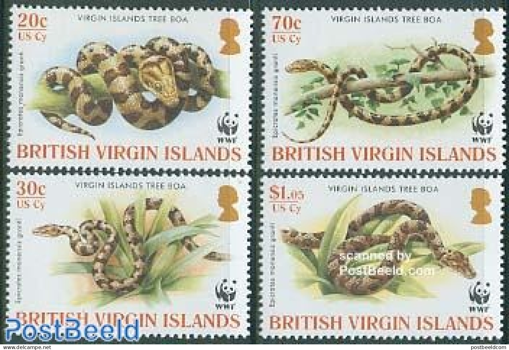 Virgin Islands 2005 WWF, Snakes 4v, Mint NH, Nature - Reptiles - Snakes - World Wildlife Fund (WWF) - British Virgin Islands