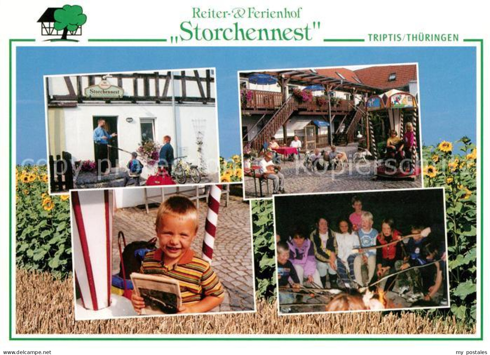 73031891 Triptis Reiter Ferienhof Storchennest Triptis - Triptis