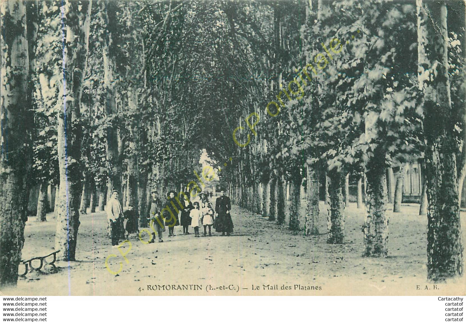 41.   ROMORANTIN .  Le Mail Des Platanes . CPA Animée . - Romorantin