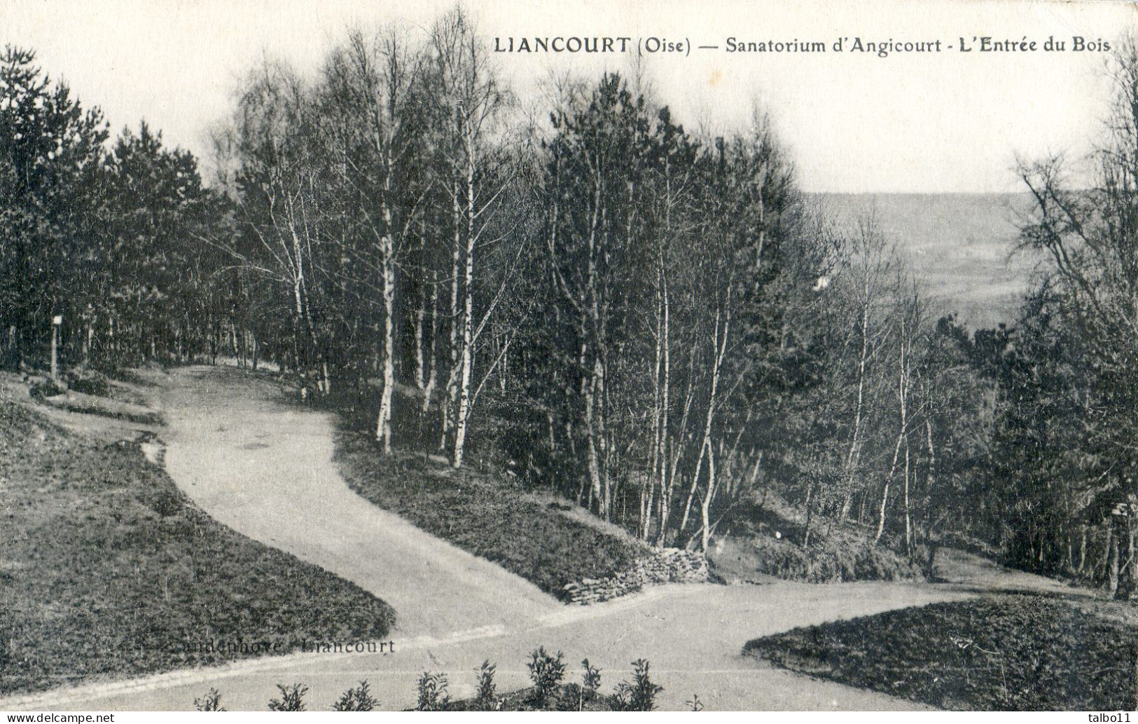 60 - Liancourt - Sanatorium D'Angicourt - L'Entrée Du Bois - Liancourt