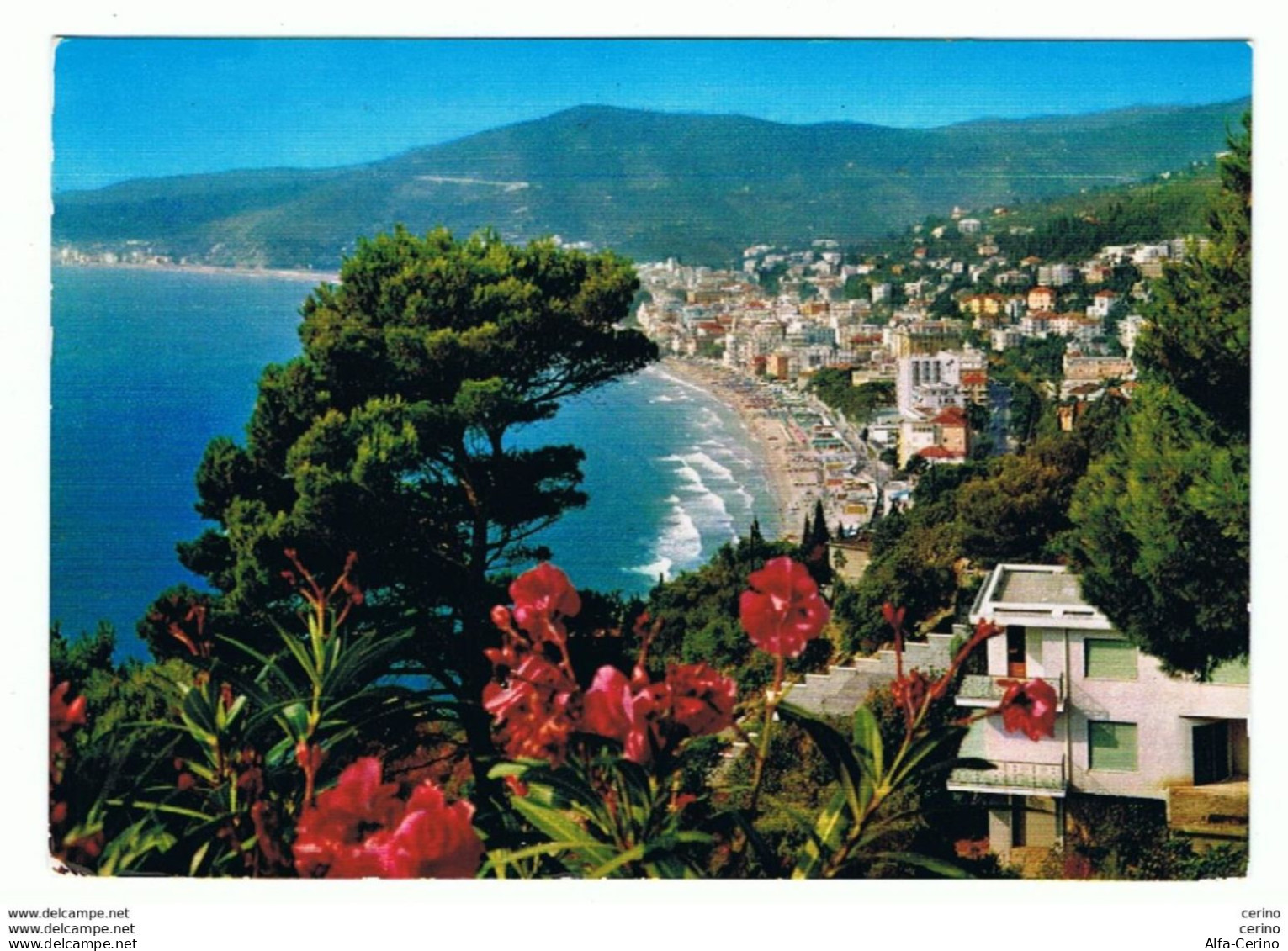 ALASSIO:  PANORAMA  -  PER  LA  SVIZZERA  -  FG - Savona