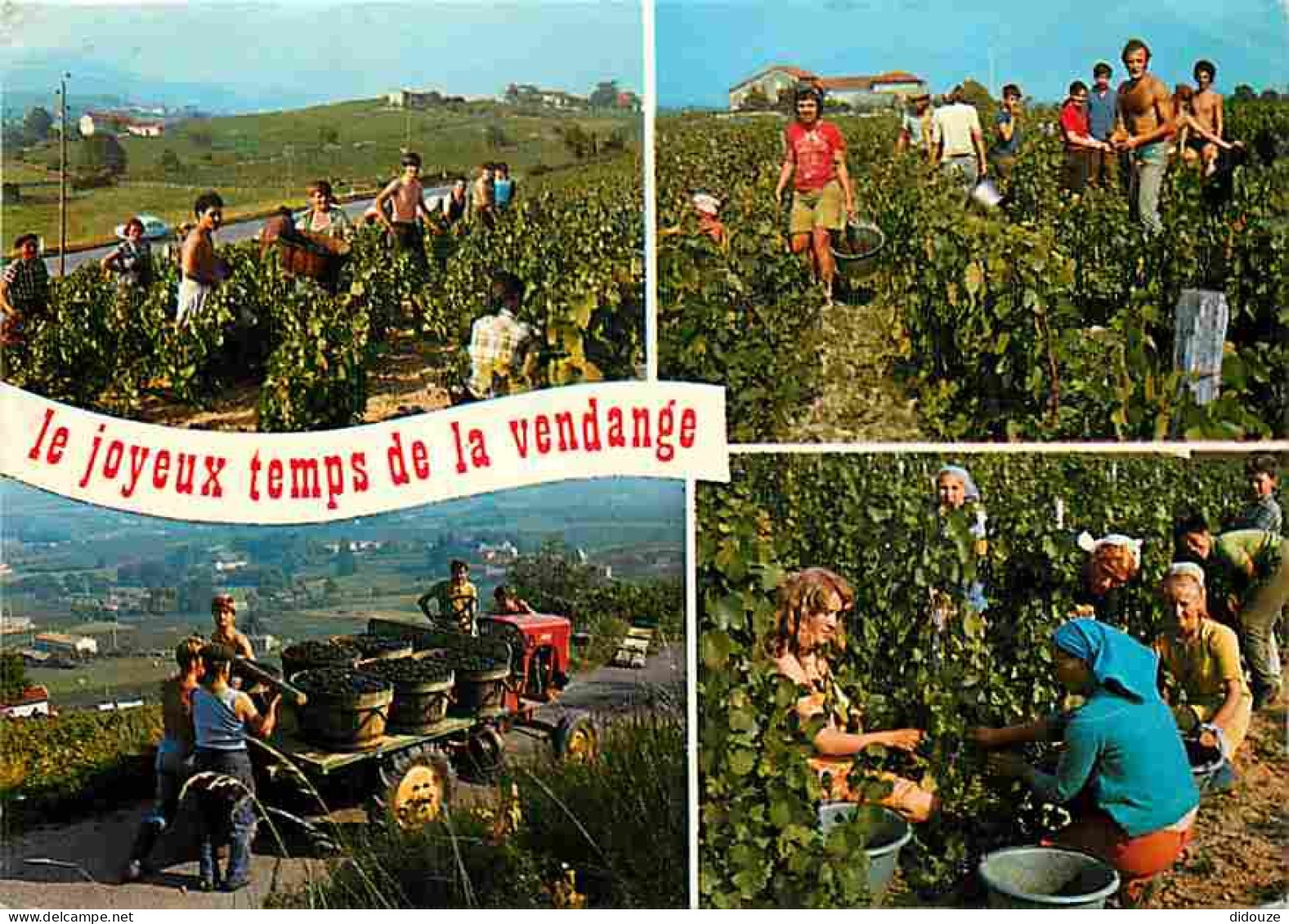 Vignes - Le Joyeux Temps De La Vendange - Multivues - Vendanges - Raisins - Vin - CPM - Voir Scans Recto-Verso - Vines