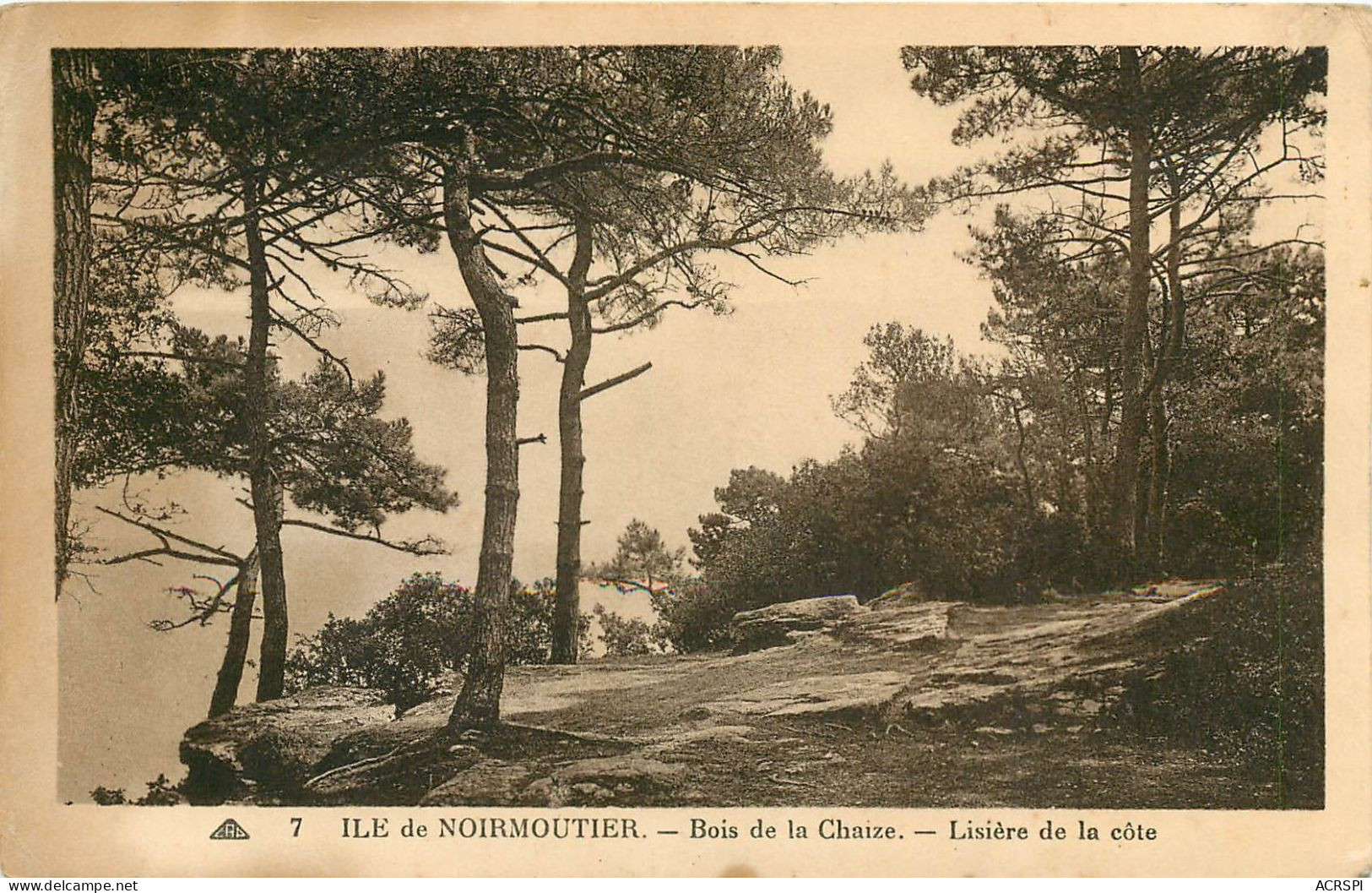 85 - Lnoirmoutier Le Bois De La Chaize  (scan Recto-verso) QQ 1149 - Noirmoutier