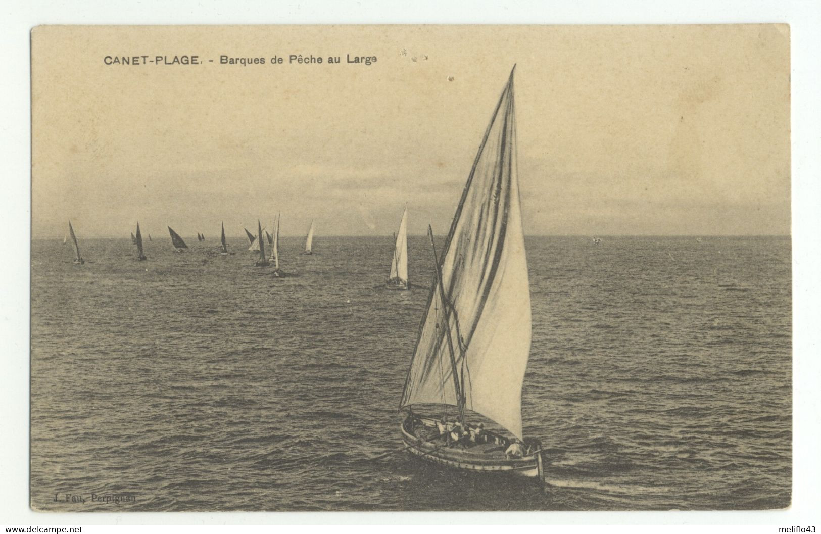 66/CPA A - Canet Plage - Barques De Peche Au Large - Canet En Roussillon