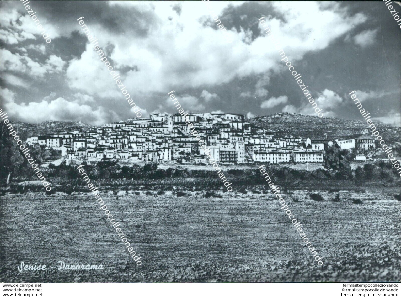 S734 Cartolina Senise Panorama Provincia Di Potenza - Potenza