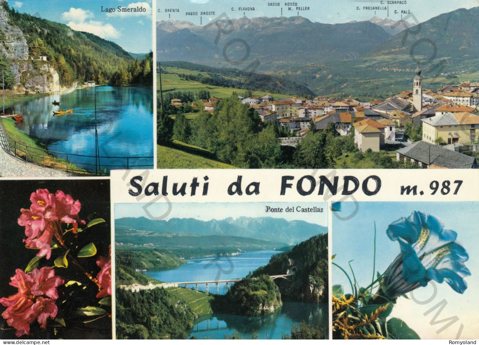 CARTOLINA  C12 FONDO M.987,TRENTO,TRENTINO ALTO ADIGE-SALUTI DA FONDO-STORIA,MEMORIA,CULTURA,RELIGIONE,VIAGGIATA 1972 - Trento