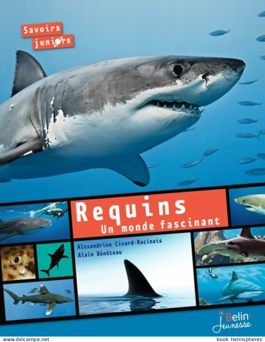 Requins : Un Monde Fascinant (2014) De Alexandrine Civard-Racinais - Dieren