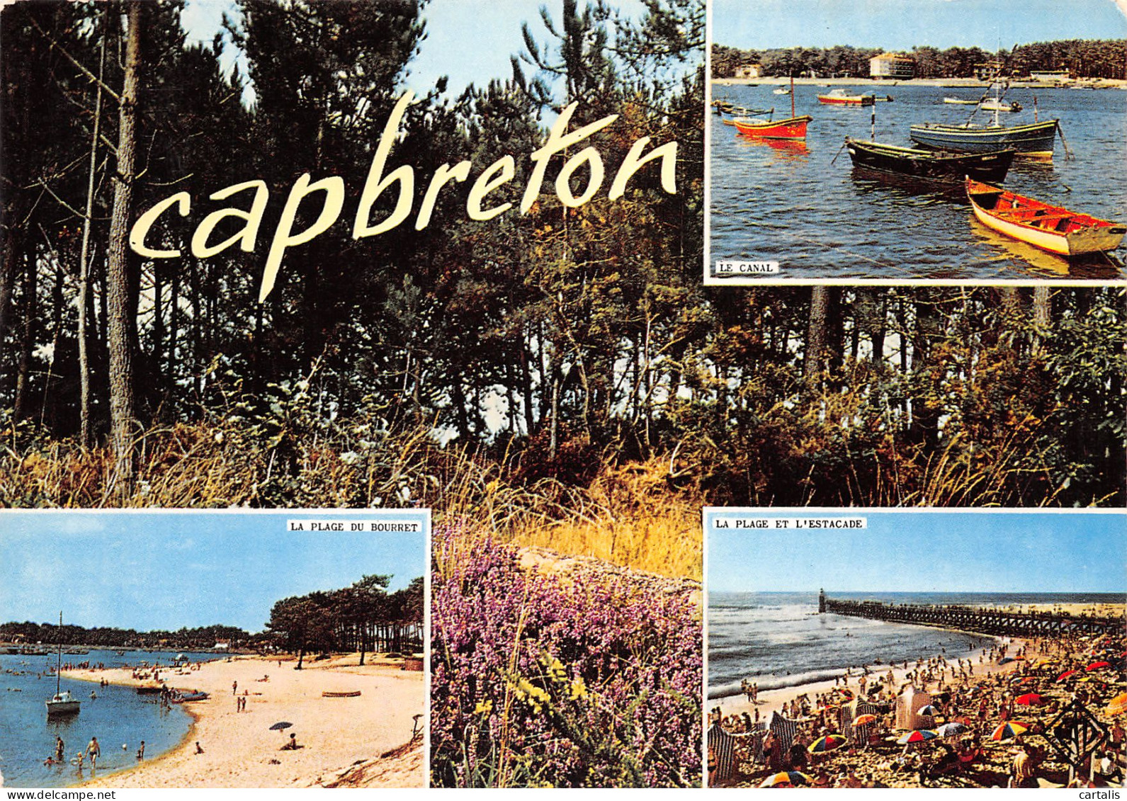 40-CAPBRETON-N°3810-B/0259 - Capbreton