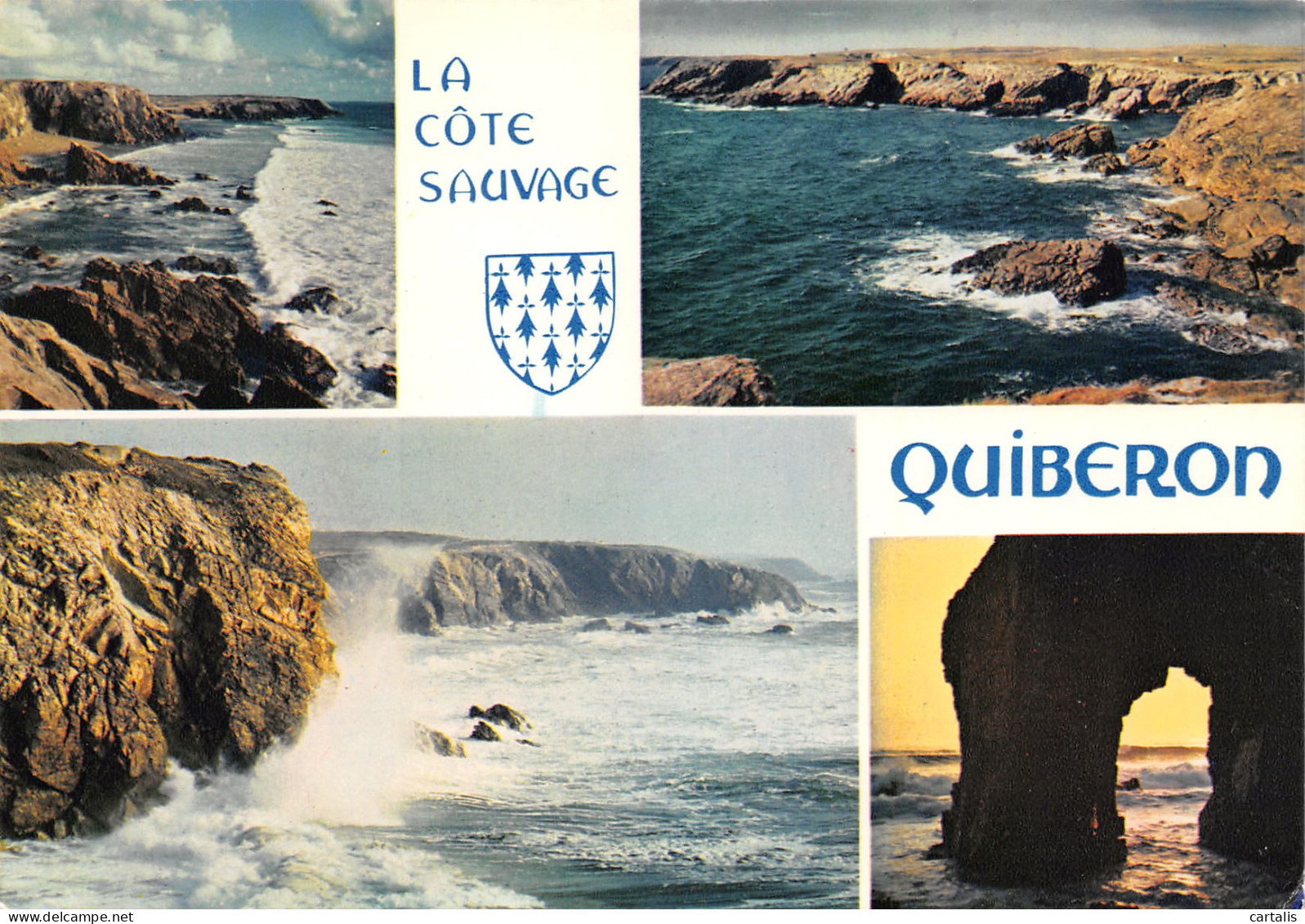 56-QUIBERON-N°3811-C/0253 - Quiberon