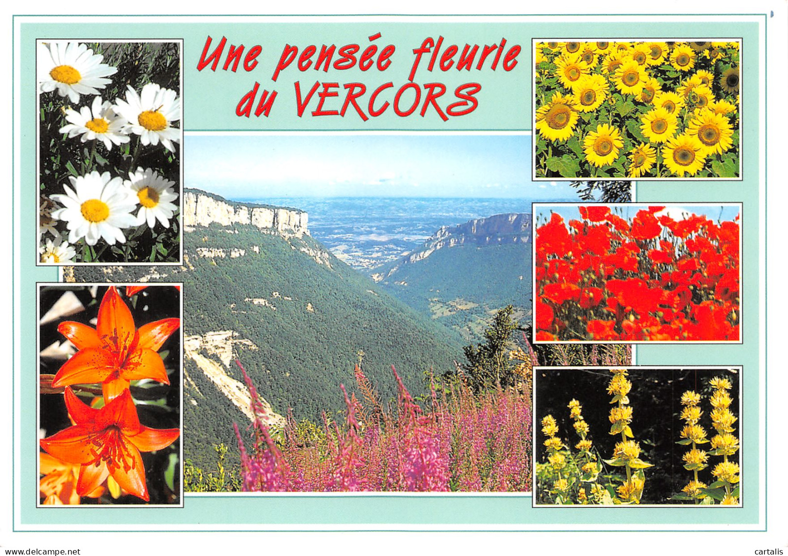 38-VERCORS-N°3816-A/0079 - Vercors