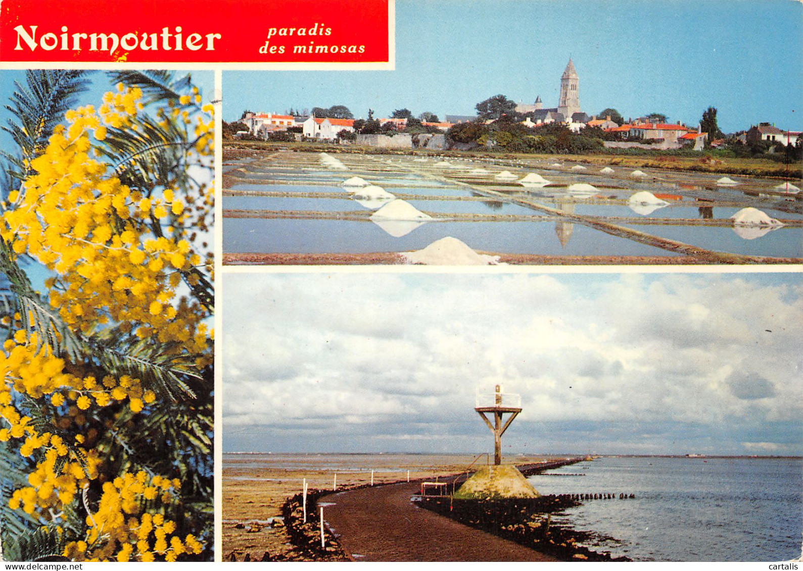 85-NOIRMOUTIER-N°3820-C/0375 - Noirmoutier