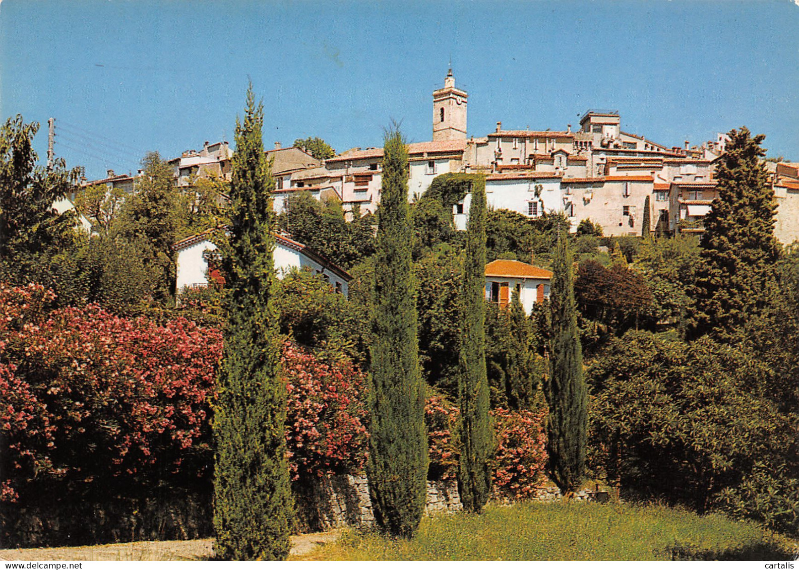 06-MOUGINS-N°3821-C/0065 - Mougins