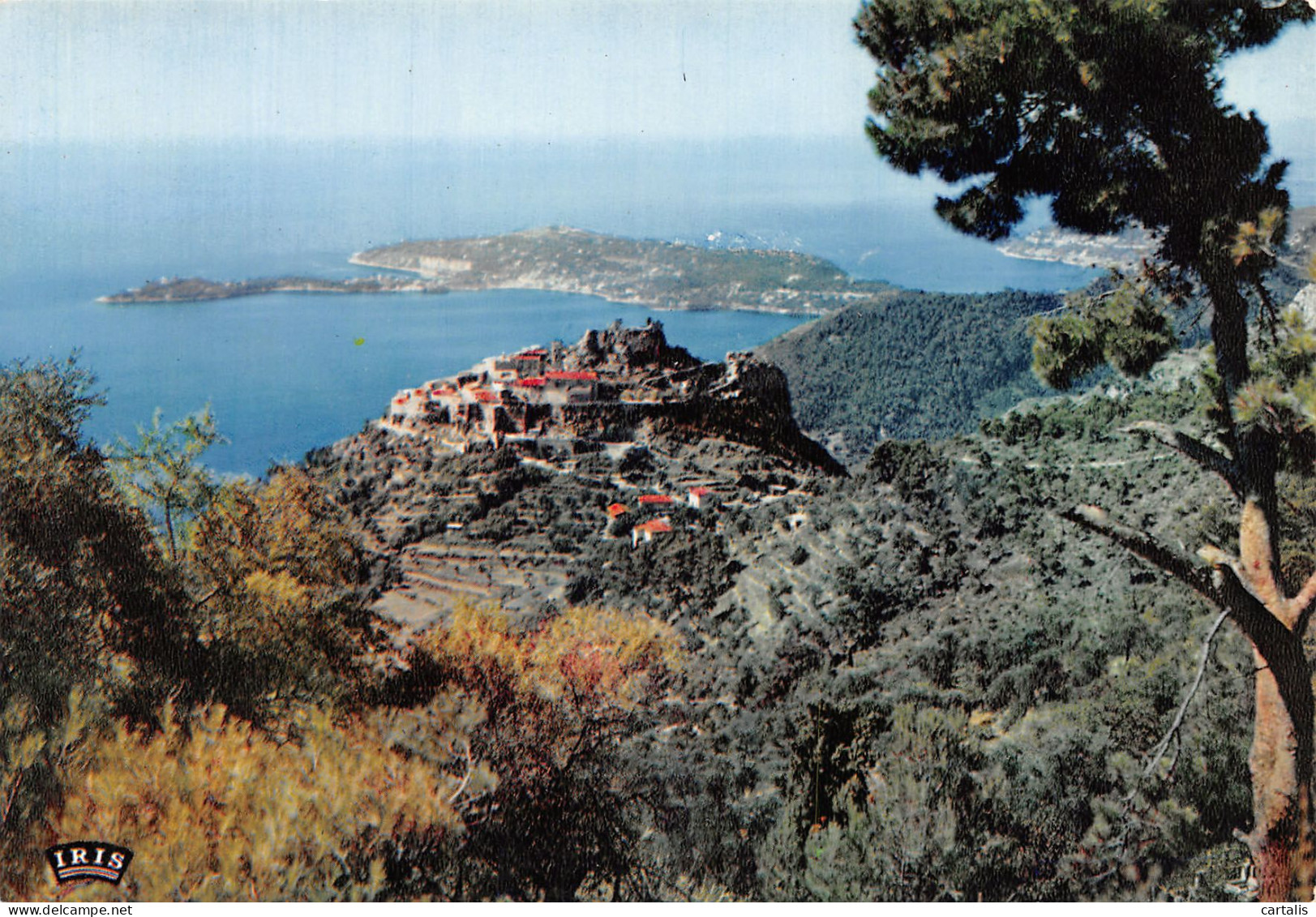 06-EZE-N°3822-B/0247 - Eze