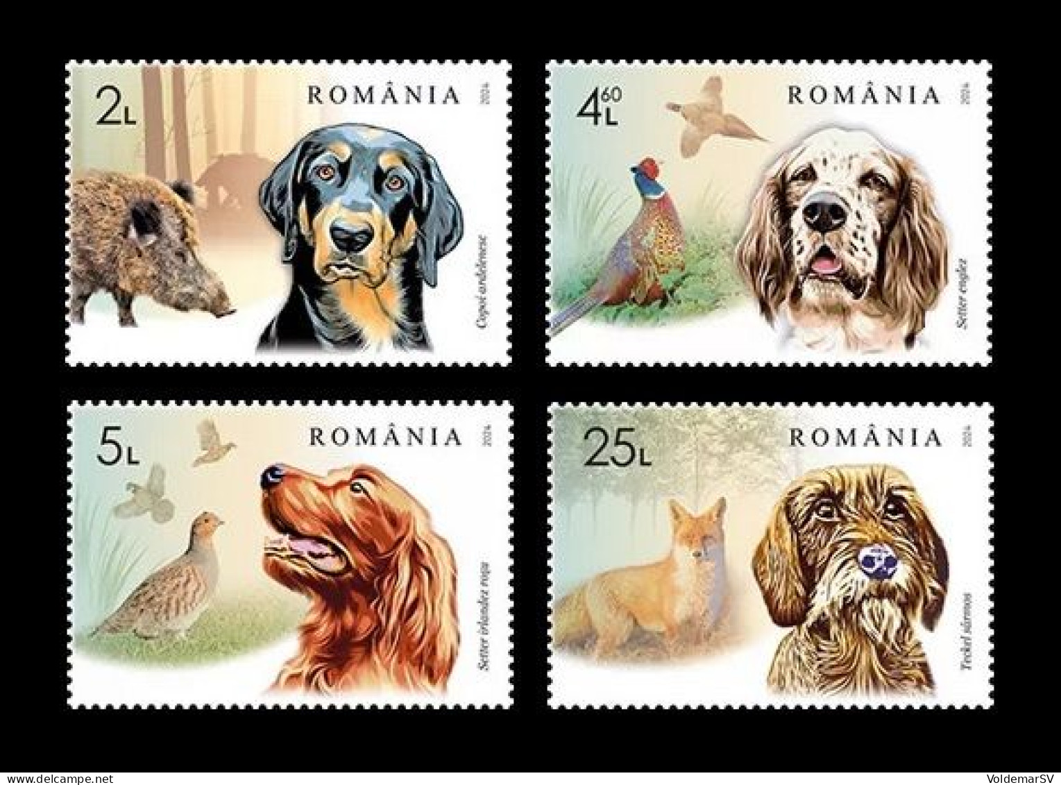 Romania 2024 Mih. 8320/23 Fauna. Hunting Dogs MNH ** - Ongebruikt