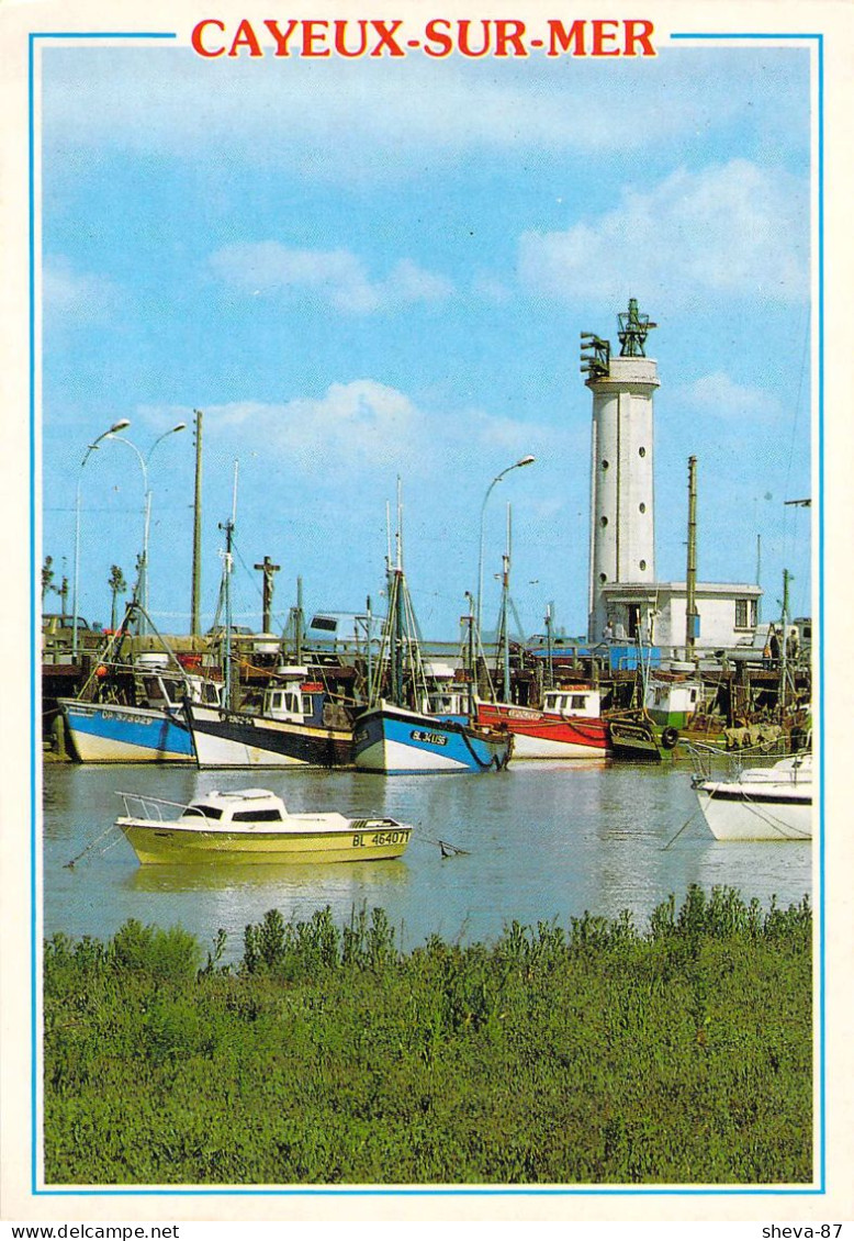 80 - Cayeux Sur Mer - Le Port Du Hourdel - Cayeux Sur Mer