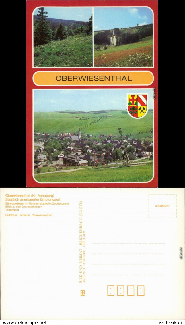 Oberwiesenthal Bärwurzwiesen Im Naturschutzgebiet Sprungschanzen,  1987 - Oberwiesenthal