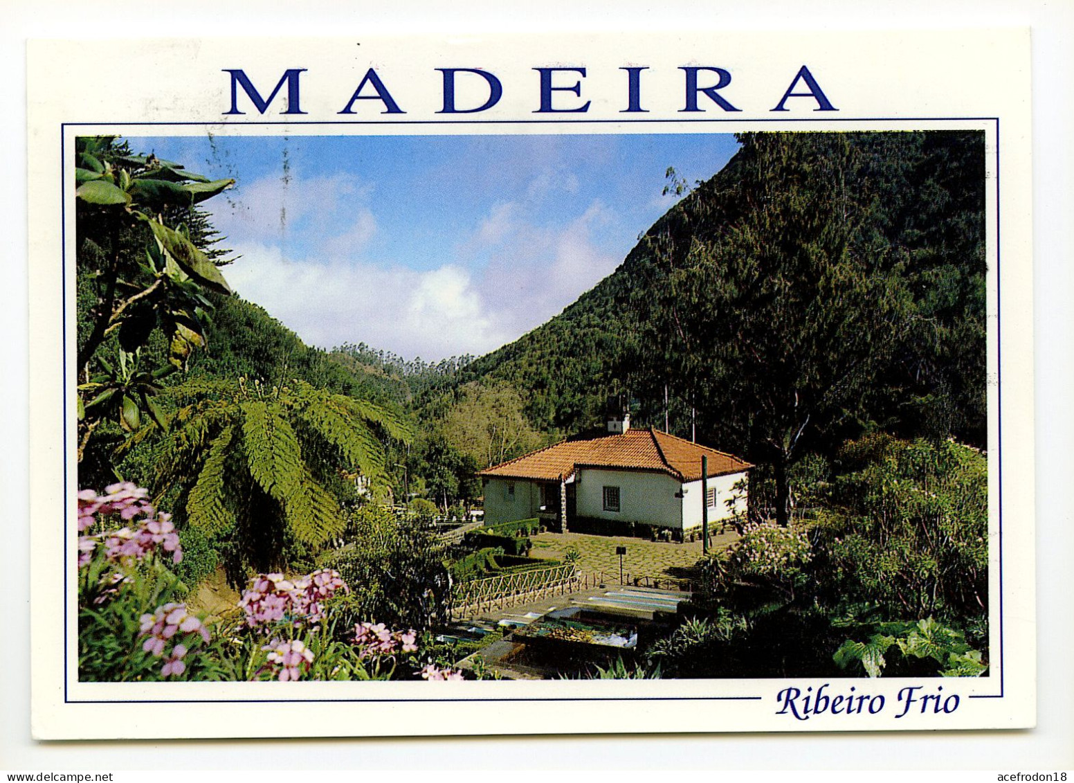 MADEIRA - Ribeiro Frio - Madeira