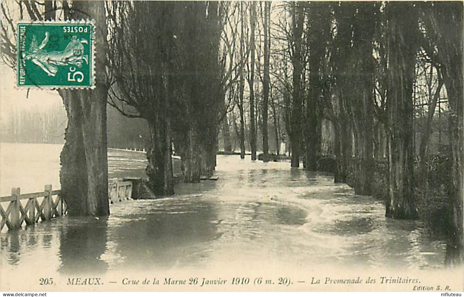 77* MEAUX  Crue 1910  Promenade Des Trinitaires      RL07.1072 - Meaux