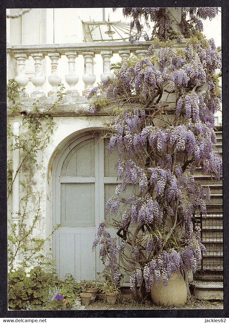 094374/ Y. MONEL/M.A.P., Glycine, Ed Houtland - Sonstige & Ohne Zuordnung