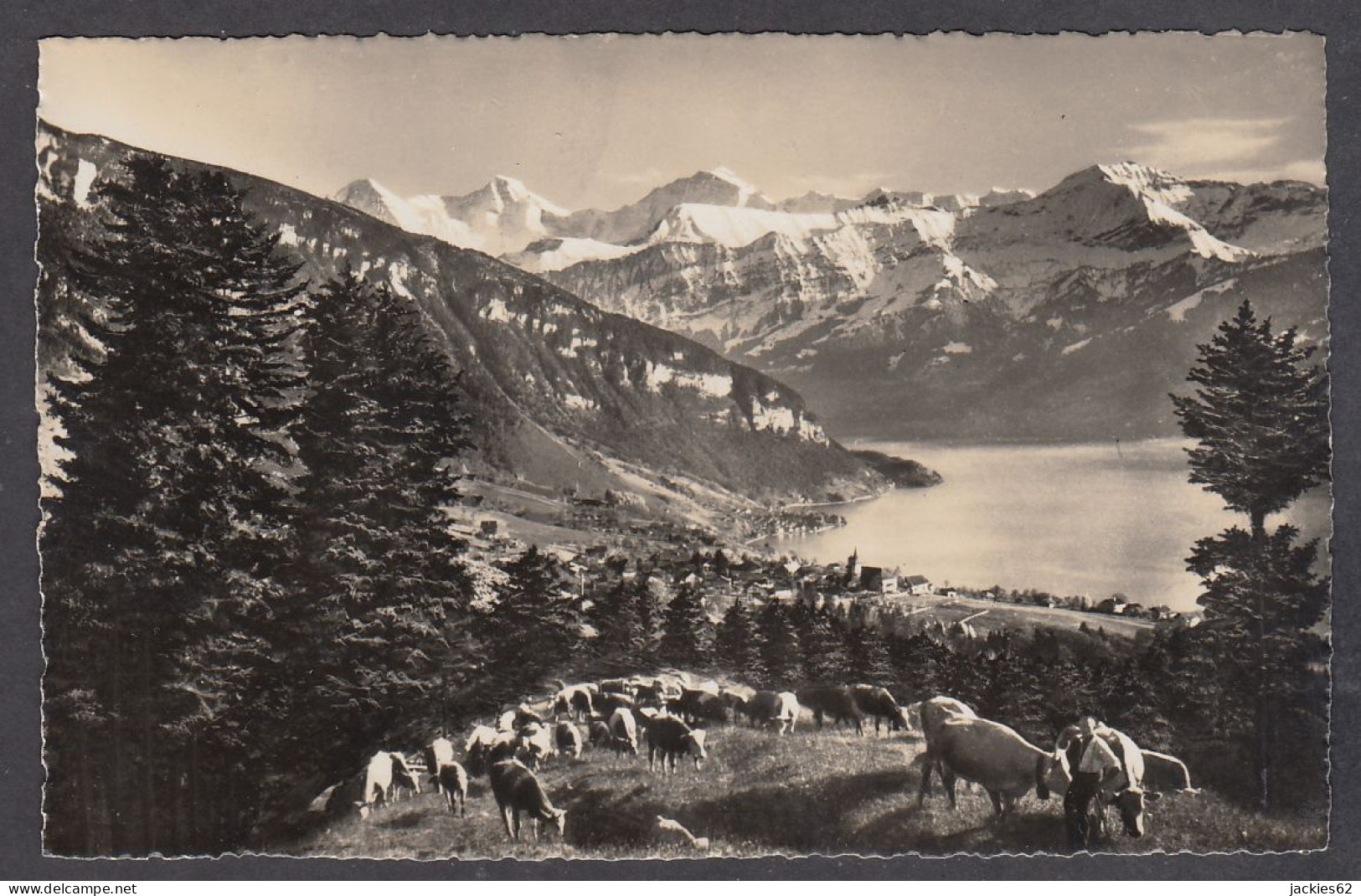 109442/ SIGRISWIL Am Thunersee, Eiger, Mönch, Jungfrau - Sigriswil